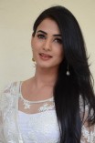 Sonal Chauhan (aka) SonalChauhan