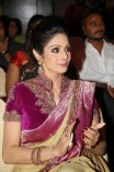 Sridevi (aka) Sri Devi