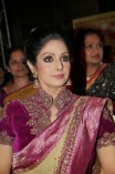 Sridevi (aka) Sri Devi