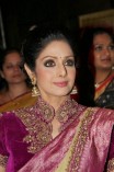 Sridevi (aka) Sri Devi