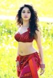 Tamannaah Bhatia (aka) Tamannaah