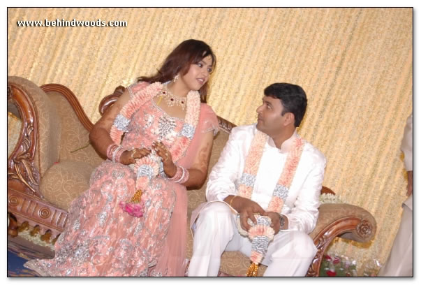 Meena Wedding Reception: Images