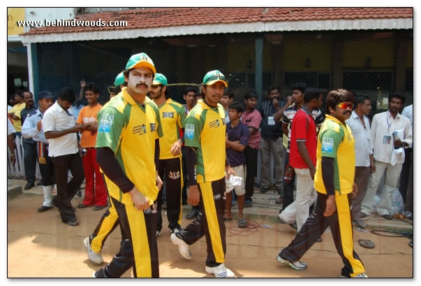 Star Cricket - images