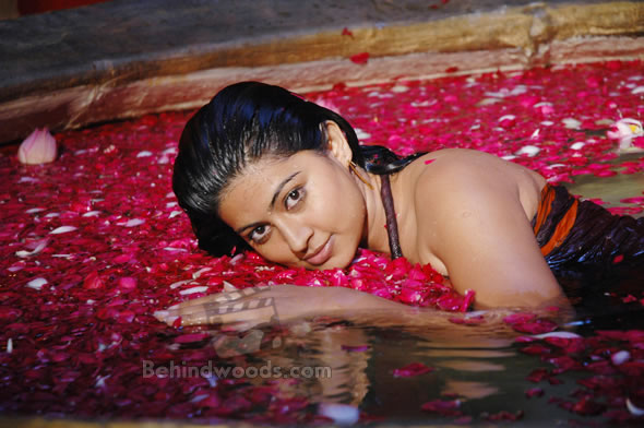 Sneha images