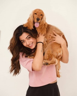 Rashmika Mandanna (aka) RashmikaMandanna