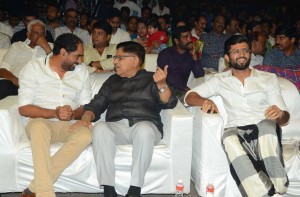 Geetha Govindham Audio Launch 