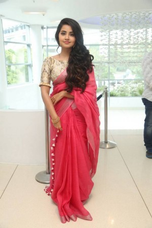 Anupama Parameswaran (aka) Anupama