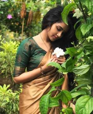 Anupama Parameswaran (aka) Anupama