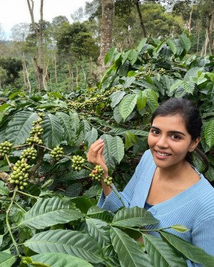 Kalyani Priyadarshan (aka) Kalyani