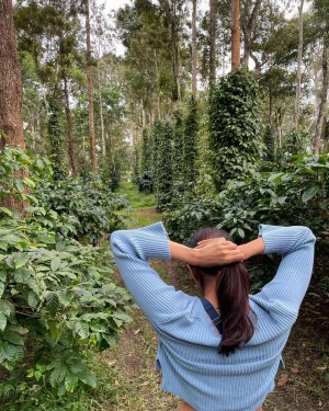 Kalyani Priyadarshan (aka) Kalyani