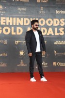 Behindwoods Gold Medals 2017 - The Red Carpet