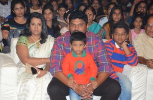 Geetha Govindham Audio Launch 