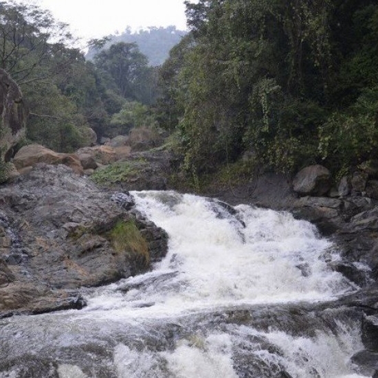 Puliyancholai Falls