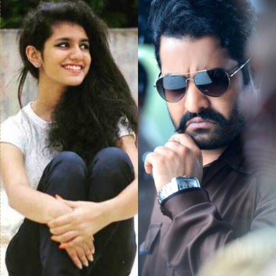 Priya Prakash Varrier - Jr NTR