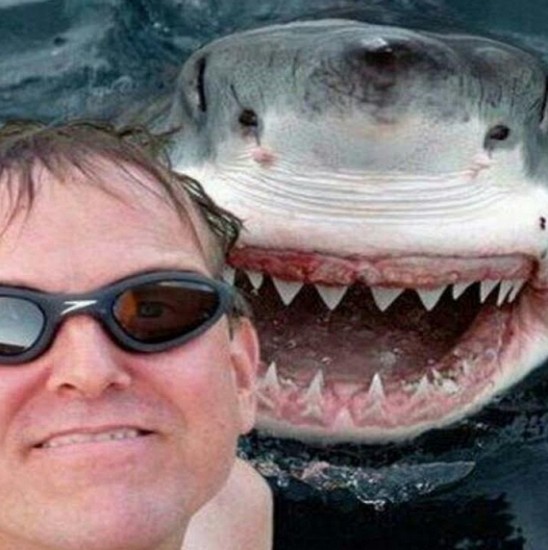 SELFIE WITH A DEADLY SHARK