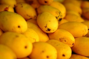 Banaganapalle mangoes awarded GI tag