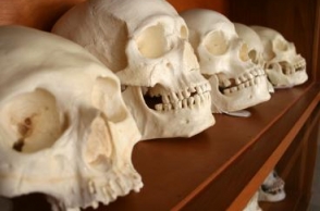 Bengal man arrested with 15 skulls in Nepal