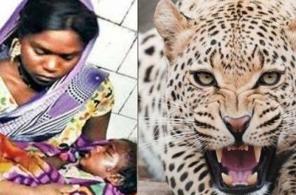 Brave mom fights leopard with bare hands after it attacks baby