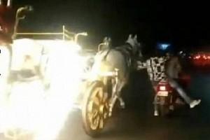 Two Men On Bike Stops Out of Control Horse Carriage On Busy Street: Video Viral