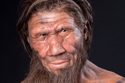 Neanderthals, modern humans had different food habits: Study - News Shots