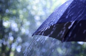 Rain possible in interior parts of TN: Met dept