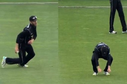 Kane Williamson funny misfielding against Pakistan watch video