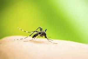 Dengue hits Tamil Nadu, 2 children dead including 8-month-old baby in Chennai!