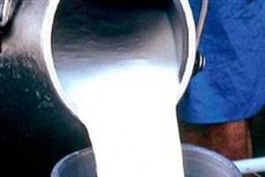 Toxic Substance Found in Milk Supplied to TN and 2 other States; Minister Reports