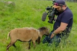 Watch: Angry Goat Attacks BBC Cameraman On Shoot; Video Goes Viral 