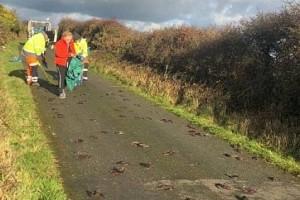 Video: More Than 300 Birds Fall From Sky, Found Dead On Road 