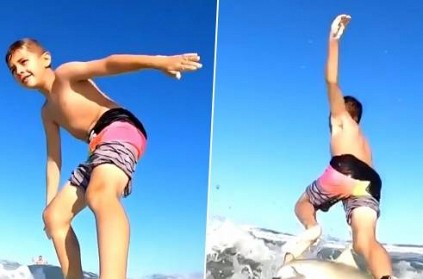 Shark Knocks Boy Off His Surfboard In Chilling Video 