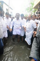 Vijayakanth (aka) Vijaykanth