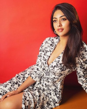 Anu Emmanuel (aka) Anu Emanuvel