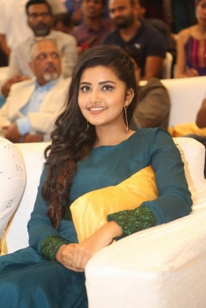 Anupama Parameswaran (aka) Anupama