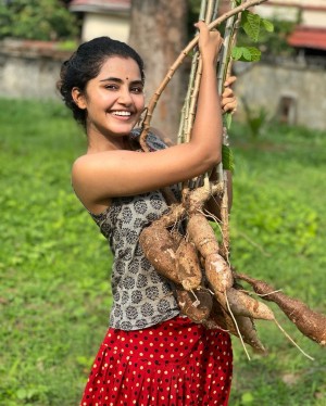 Anupama Parameswaran (aka) Anupama