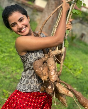 Anupama Parameswaran (aka) Anupama