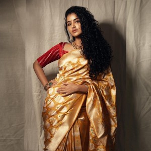 Anupama Parameswaran (aka) Anupama