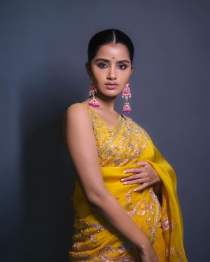 Anupama Parameswaran (aka) Anupama