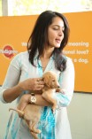 Anushka (aka) Anushka Shetty