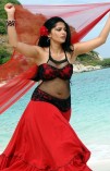 Anushka (aka) Anushka Shetty