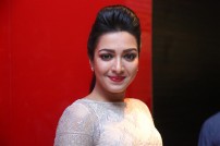 Catherine Tresa (aka) CatherineTresa