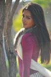 Catherine Tresa (aka) CatherineTresa