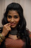 Dhanshika (aka) Actress Dhansika