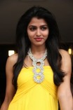 Dhanshika (aka) Actress Dhansika