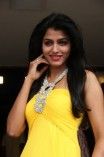 Dhanshika (aka) Actress Dhansika