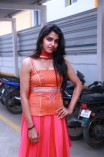 Dhanshika (aka) Actress Dhansika