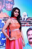 Dhanshika (aka) Actress Dhansika