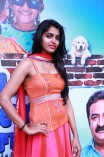 Dhanshika (aka) Actress Dhansika