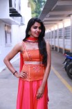 Dhanshika (aka) Actress Dhansika