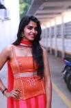 Dhanshika (aka) Actress Dhansika